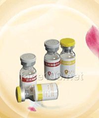 羊胚胎素凍干粉