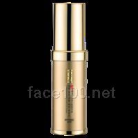 姿昂品牌化妝品 彈力提升蛋白眼精華素代理