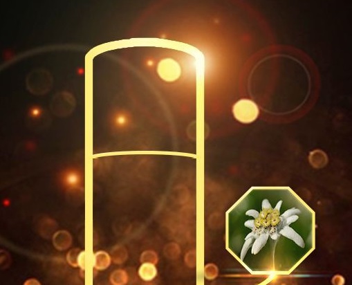 珈美、根源滋養修護精華液