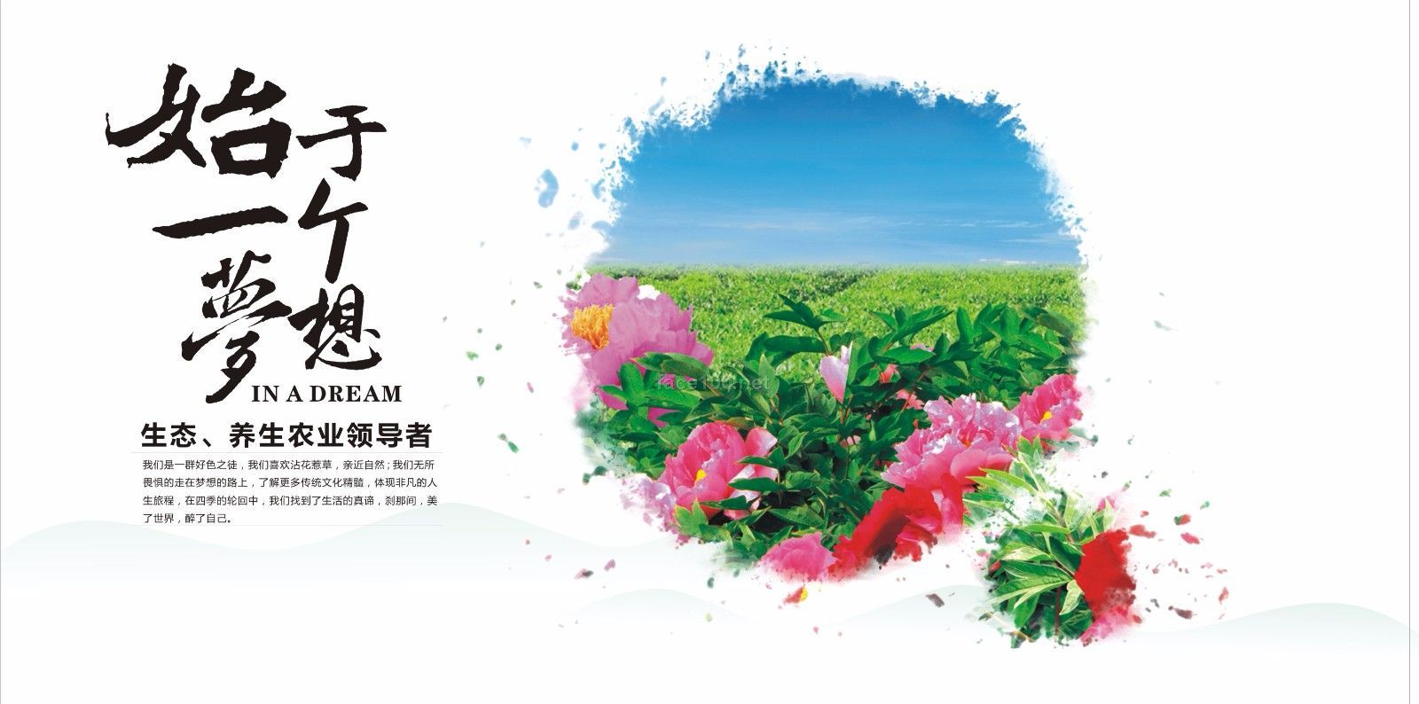 鳳丹花坊牡丹緊致嫩顏養膚面膜