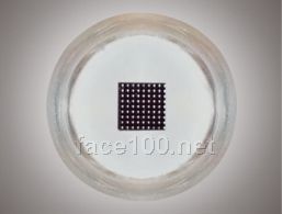 促滲晶片組件 3*3mm 81針代理