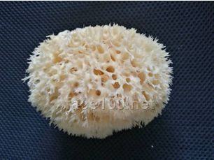 愛(ài)天然 希臘進(jìn)口天然海綿方形苧麻海綿塊沐浴球 搓澡巾廠家直銷(xiāo)