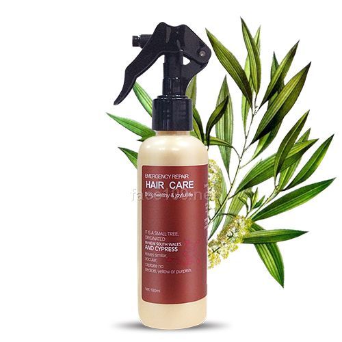 發(fā)歌茶樹(shù)精油急救修復(fù)液代理批發(fā)