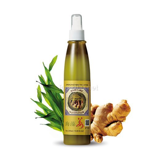 歌綠海藻姜抗毛糙滋潤精華代理批發