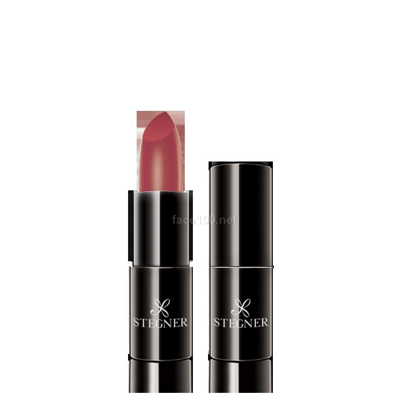 斯黛娜 邂逅佳人凝潤(rùn)口紅（豆沙紅06號(hào)） 批發(fā)代理