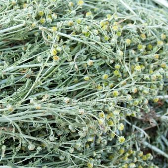 印蒿精油單方精油  單方精油批發