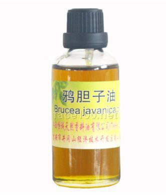 GMP工廠天然提取鴉膽子油 品質保證批發