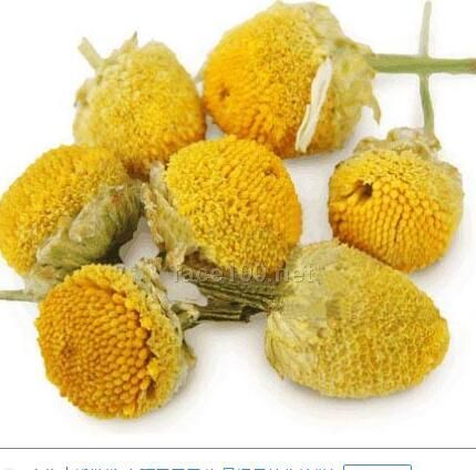 洋甘菊純露研發加工/洋甘菊純露加工設計