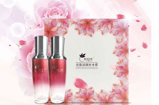 雅詩(shī)丹妮詩(shī)蔓潤(rùn)顏補(bǔ)水套代理