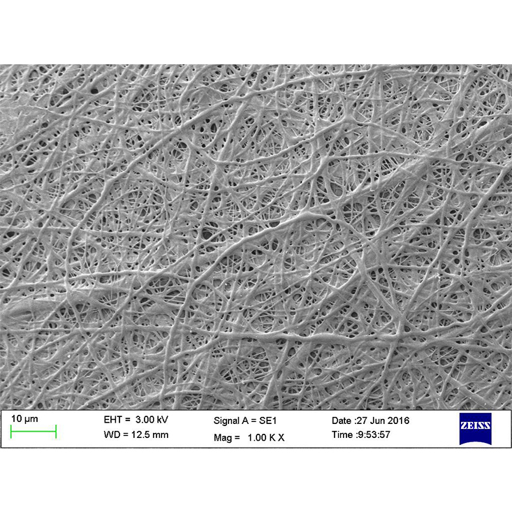 創爾美生醫級膠原原料：膠原纖維表面涂層